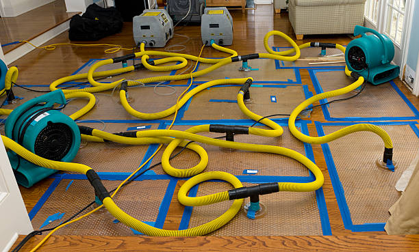 Professional Flood Damage Restoration technician working in North Beach, MD